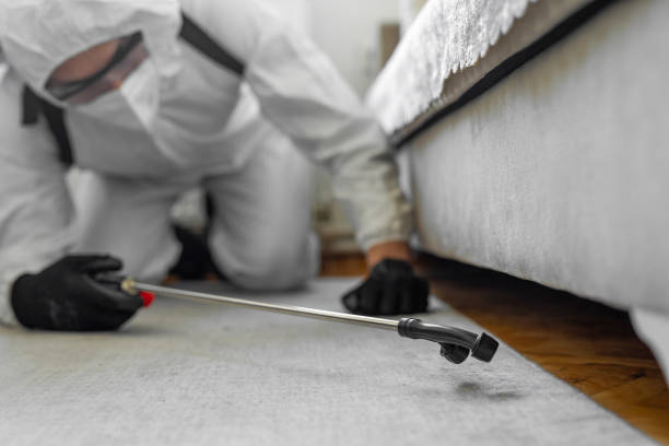 Professional Mosquito Control technician working in Crest, CA