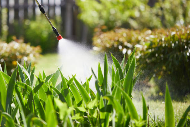 24/7 Emergency Mosquito Control experts in Crest, CA