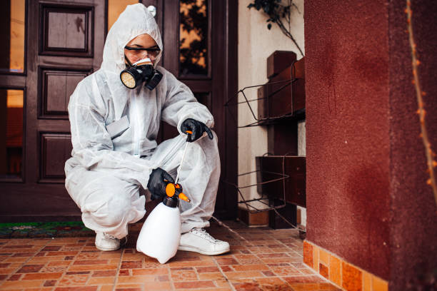 Reliable Mosquito Control contractor in Crest, CA by Nex Pest Control
